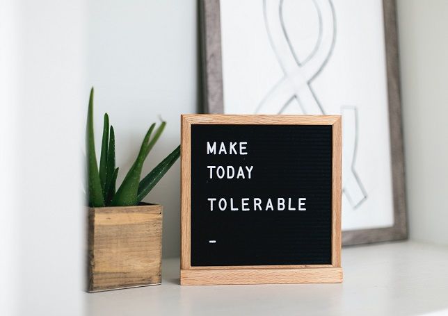 Kari Shea Hehwcivlacy Unsplash